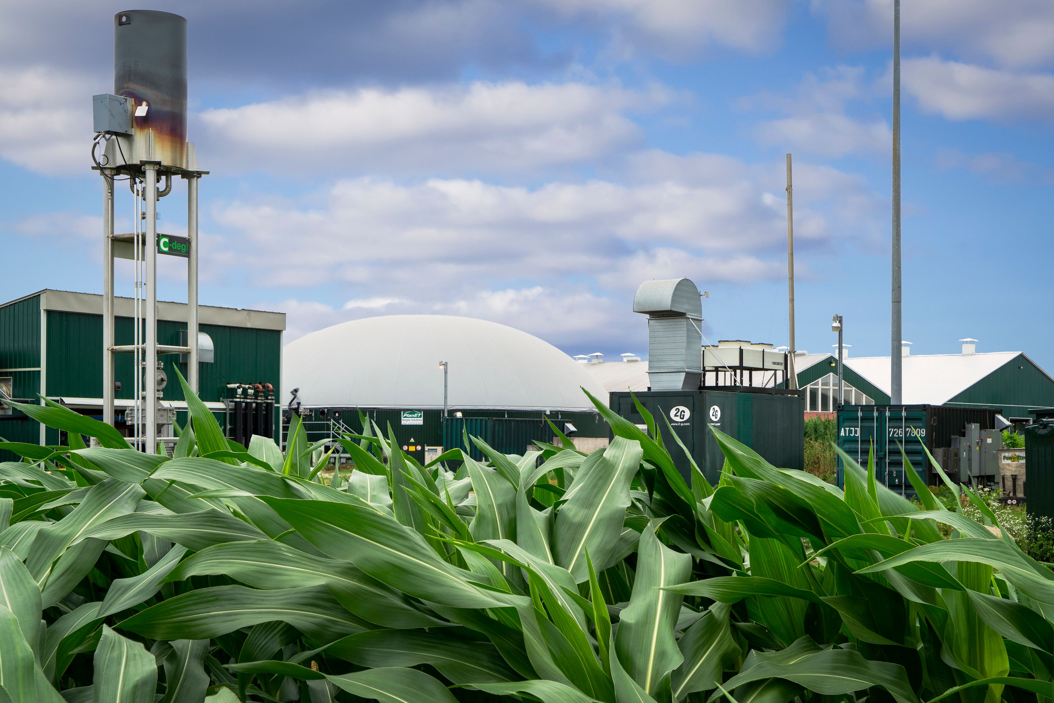 Greenholm Farms