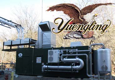 Yuengling & Son, Inc.