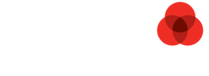 BSD-logo_white-01-1-300x110