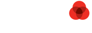 BSD-logo_white-01-1-300x110 BSD-logo_white-01-1-300x110